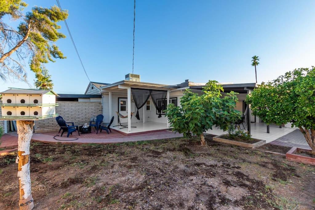 New Midtown Modern Studio With Backyard Phoenix Esterno foto